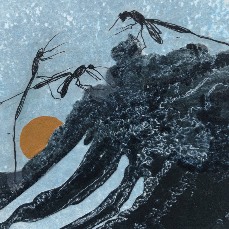 Sally Hebeler artist and printmaker based in Somerset.